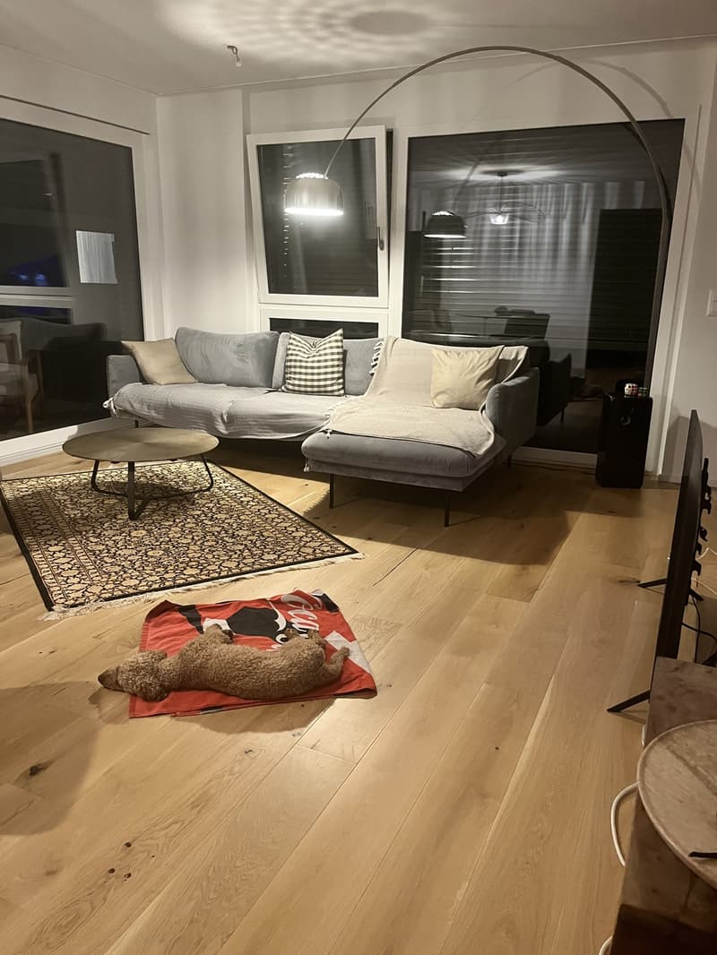 3 1/2 room partially furnished Apartment at Lake Zurich (7)