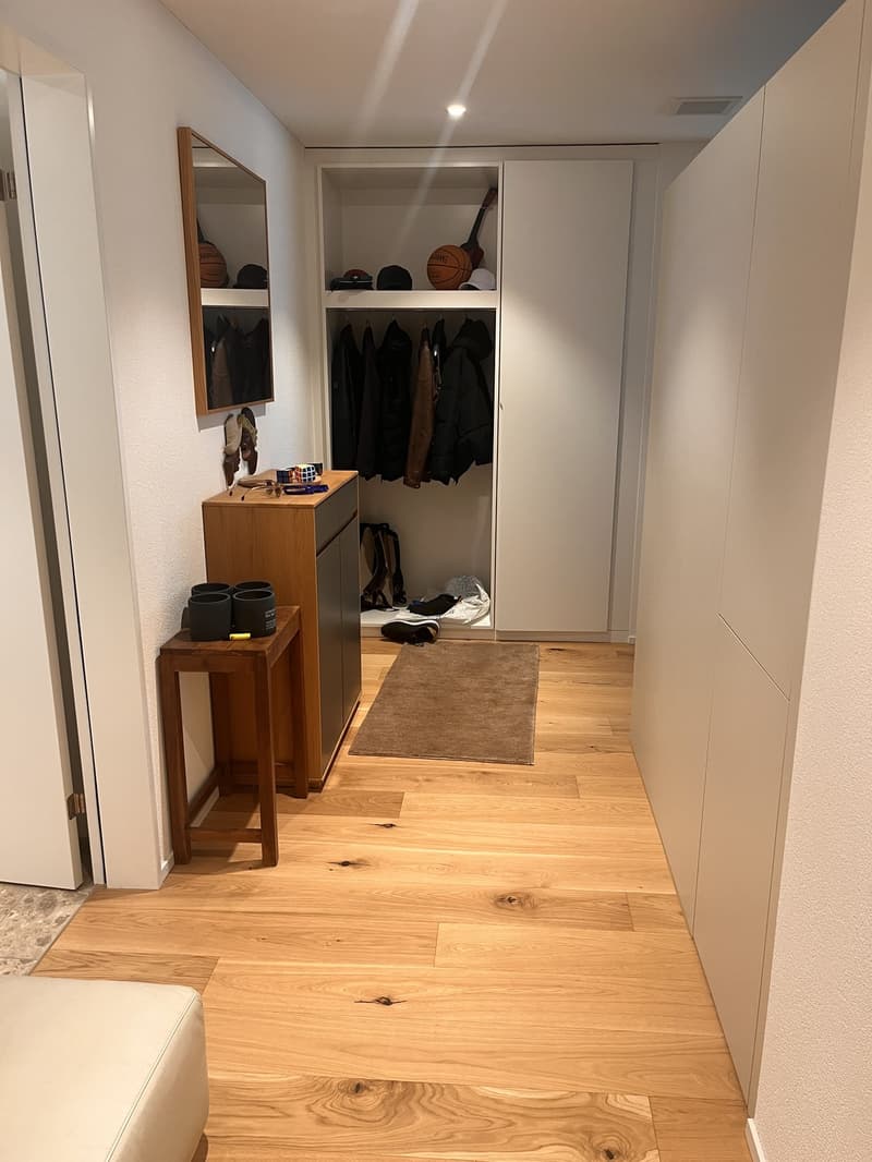 3 1/2 room partially furnished Apartment at Lake Zurich (8)