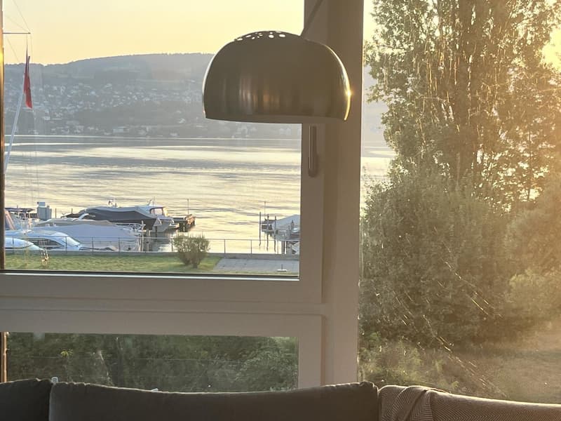 3 1/2 room partially furnished Apartment at Lake Zurich (5)