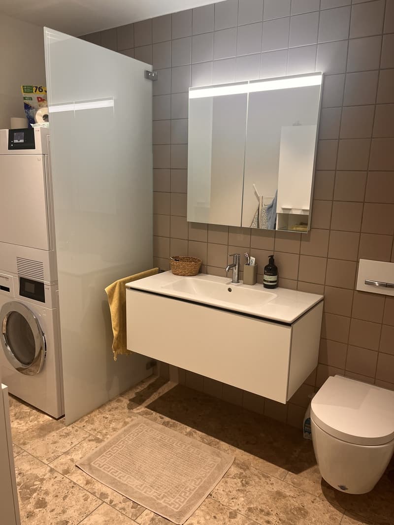 3 1/2 room partially furnished Apartment at Lake Zurich (6)