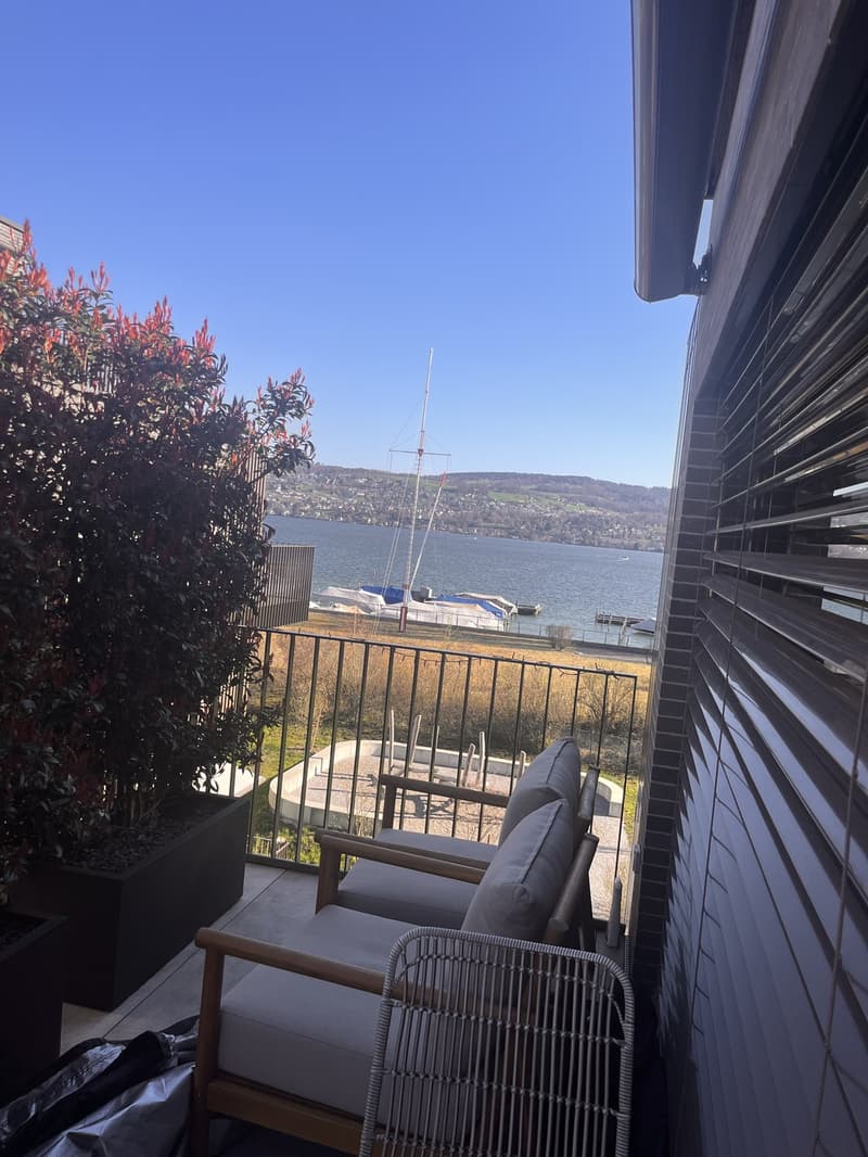 3 1/2 room partially furnished Apartment at Lake Zurich (2)