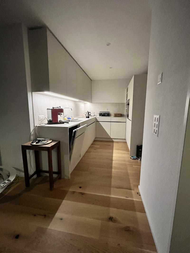 3 1/2 room partially furnished Apartment at Lake Zurich (12)