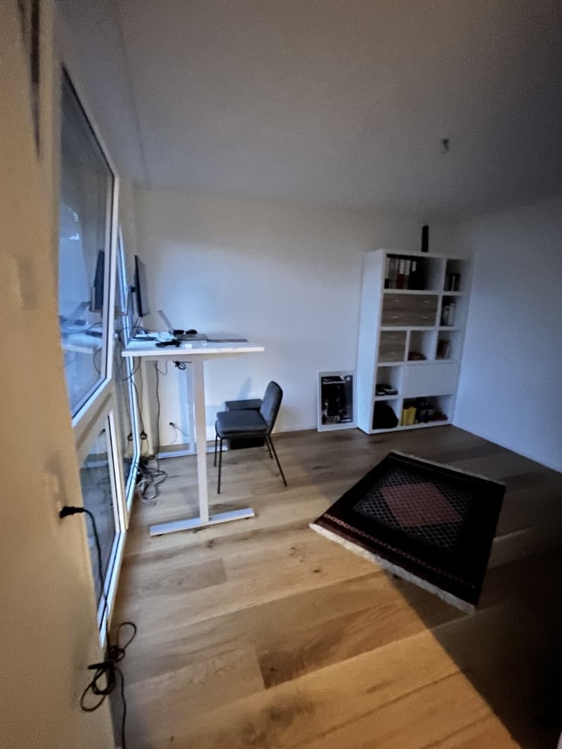 3 1/2 room partially furnished Apartment at Lake Zurich (1)