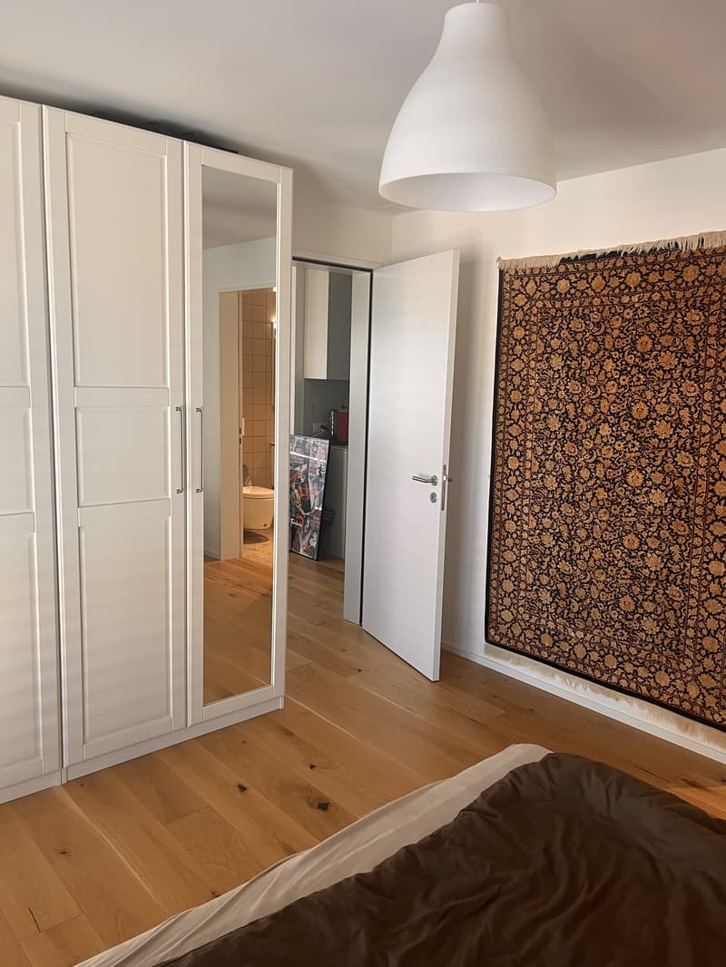 3 1/2 room partially furnished Apartment at Lake Zurich (9)