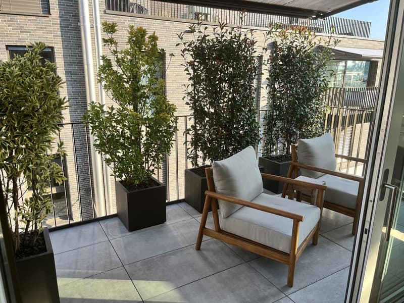 3 1/2 room partially furnished Apartment at Lake Zurich (11)