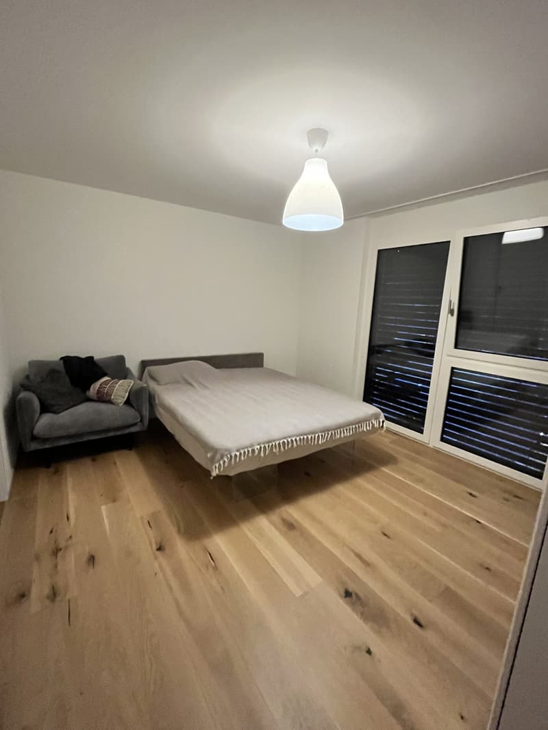 3 1/2 room partially furnished Apartment at Lake Zurich (13)