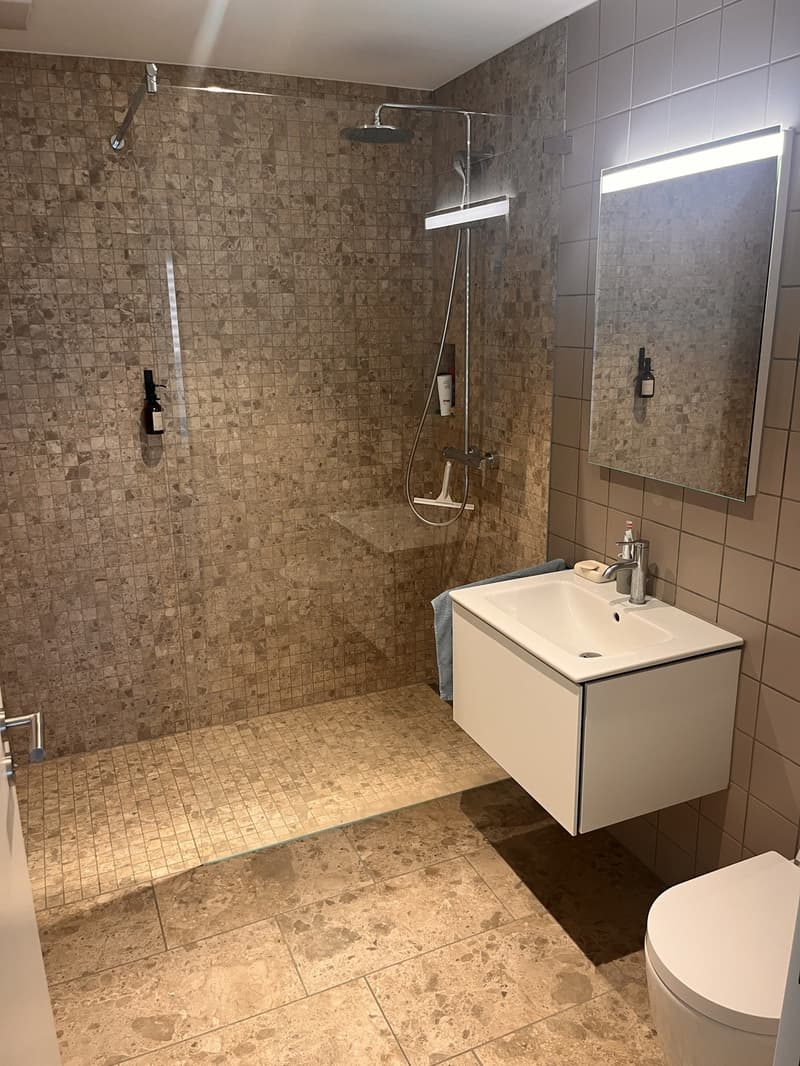 3 1/2 room partially furnished Apartment at Lake Zurich (10)