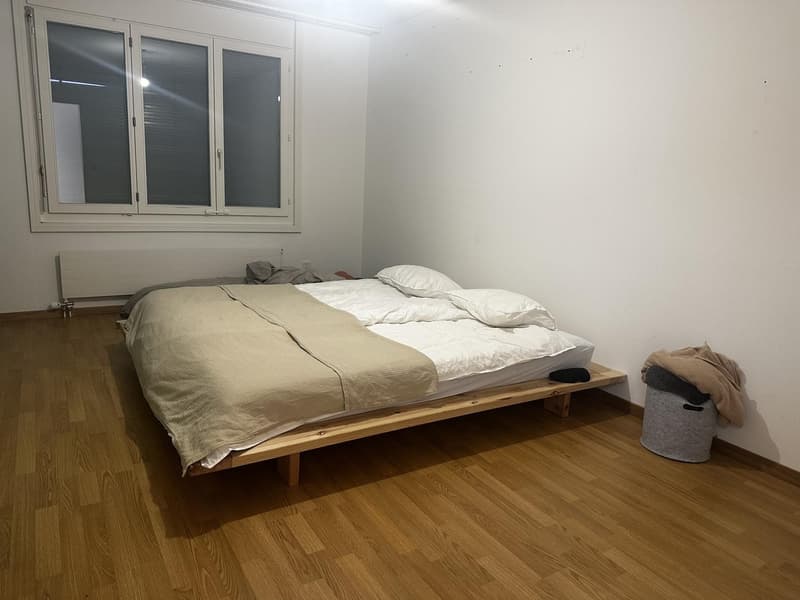 Zimmer: grosse zentrale ruhige Attikawohnung mit Seeblick und eigenem Bad (4)