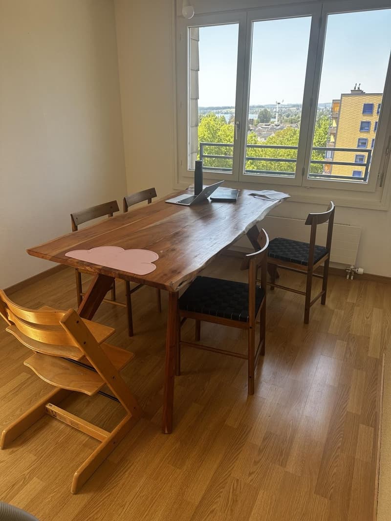Zimmer: grosse zentrale ruhige Attikawohnung mit Seeblick und eigenem Bad (1)
