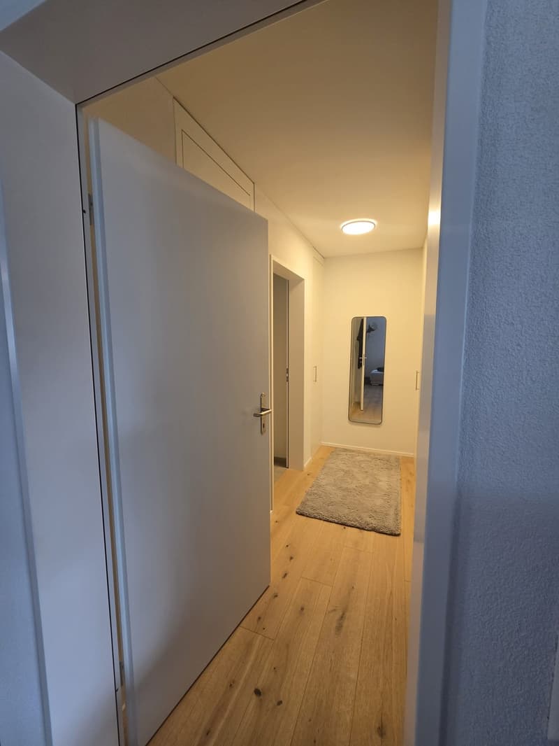 Nachmieter gesucht - 3.5 Zimmer Wohnung in Ermatingen (7)