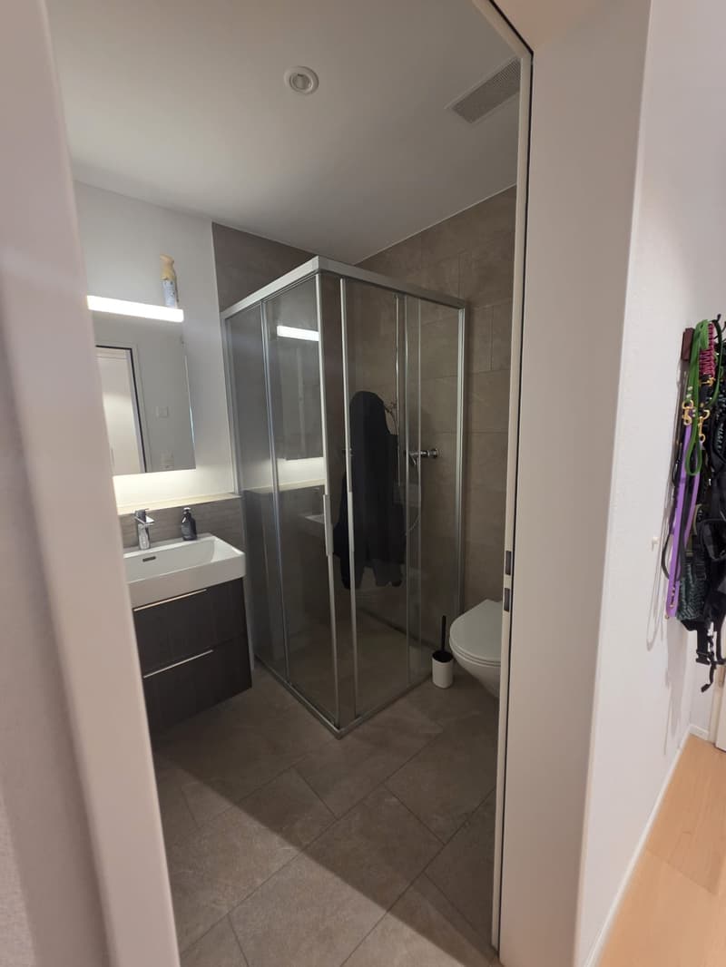 Nachmieter gesucht - 3.5 Zimmer Wohnung in Ermatingen (4)