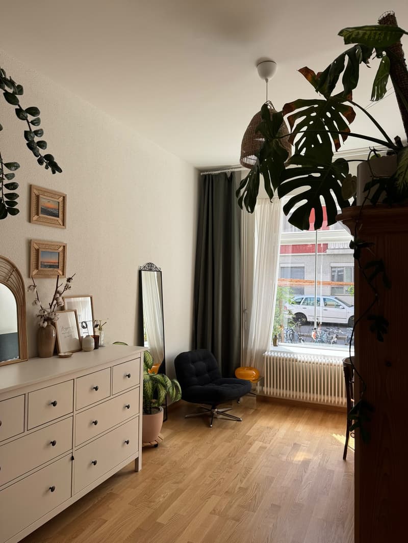 Befristete Wohnung in Wiedikon mit Katze (3)