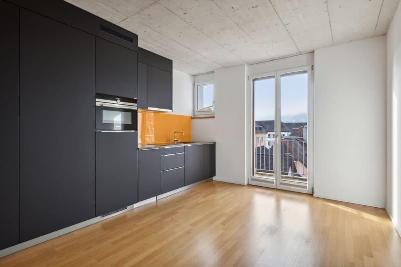 Helle 1-Zimmer-Wohnung mit 2 Balkonen & eigener Waschmaschine im Kreis 4 (per 1. Oktober) (8)
