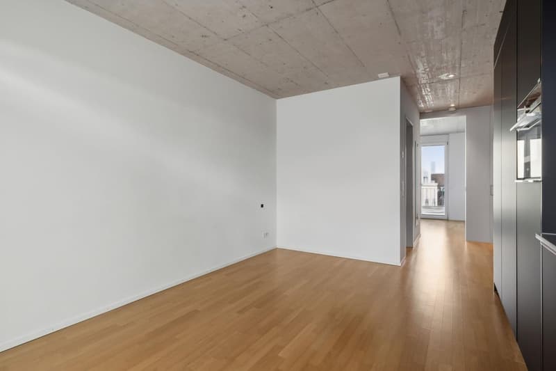 Helle 1-Zimmer-Wohnung mit 2 Balkonen & eigener Waschmaschine im Kreis 4 (per 1. Oktober) (1)