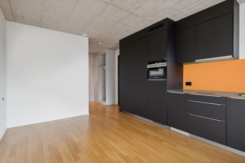 Helle 1-Zimmer-Wohnung mit 2 Balkonen & eigener Waschmaschine im Kreis 4 (per 1. Oktober) (5)