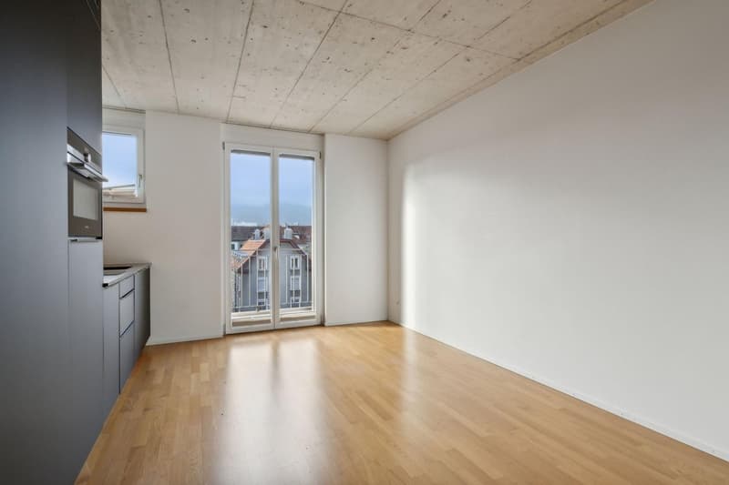 Helle 1-Zimmer-Wohnung mit 2 Balkonen & eigener Waschmaschine im Kreis 4 (per 1. Oktober) (6)