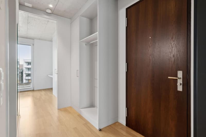 Helle 1-Zimmer-Wohnung mit 2 Balkonen & eigener Waschmaschine im Kreis 4 (per 1. Oktober) (3)