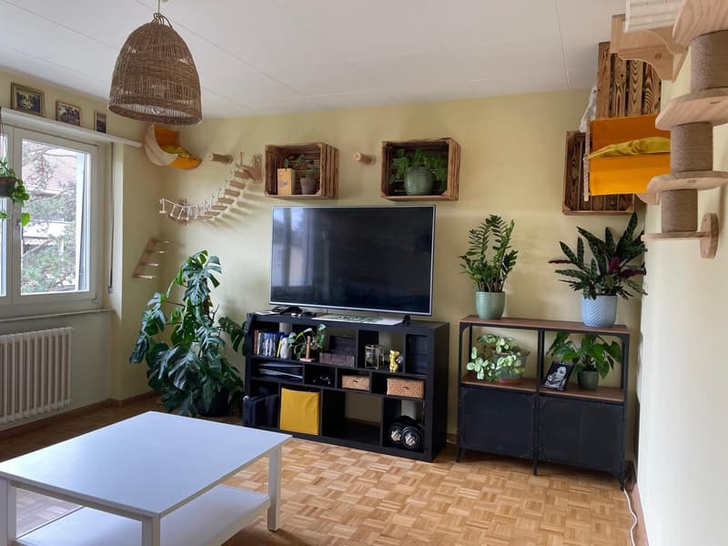 Möblierte 3-Zimmer-Wohnung in Basel zur Zwischenmiete 29.11.2026 bis 28.01.2027 (2)