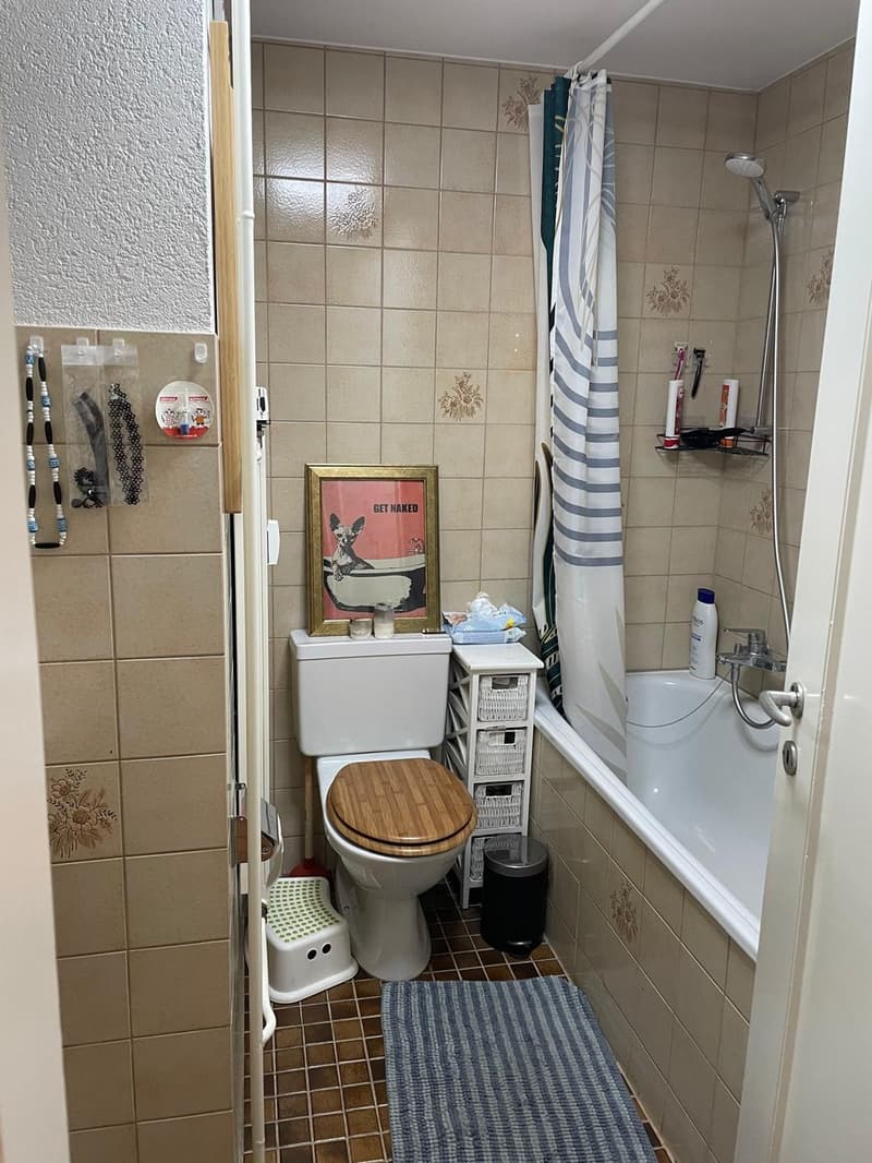 Möblierte 3-Zimmer-Wohnung in Basel zur Zwischenmiete 29.11.2026 bis 28.01.2027 (5)