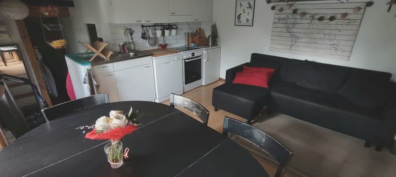 Appartement 3 pièces, 1012 Lausanne (4)