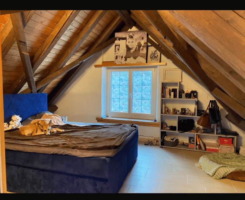 Ruhige Wohnung im Grünen (2)