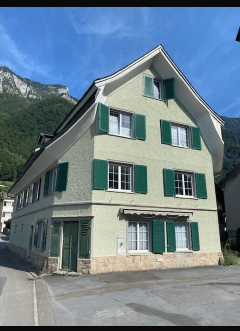 Ruhige Wohnung im Grünen (7)