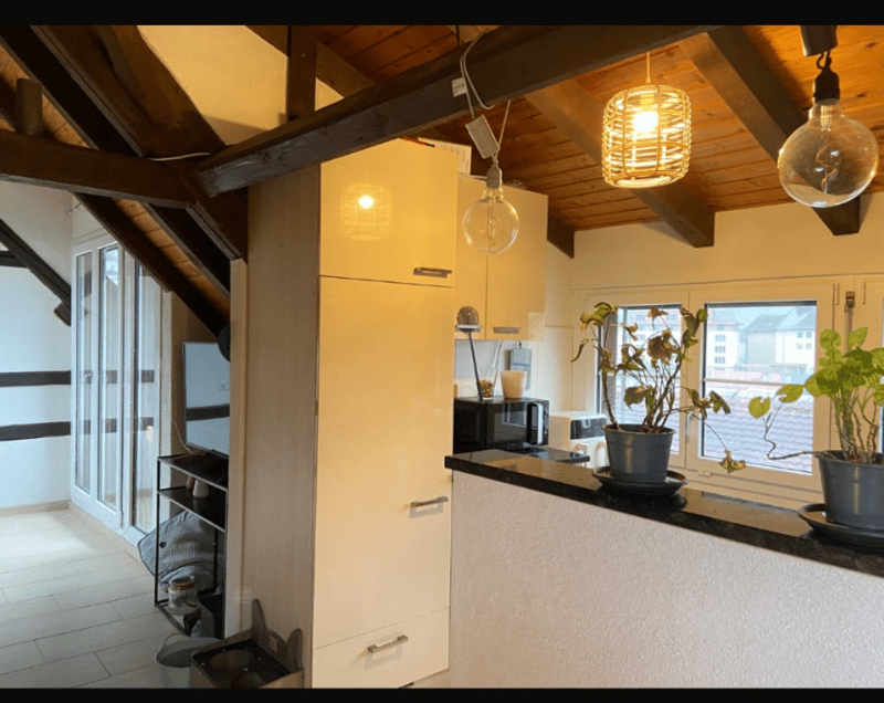 Ruhige Wohnung im Grünen (4)