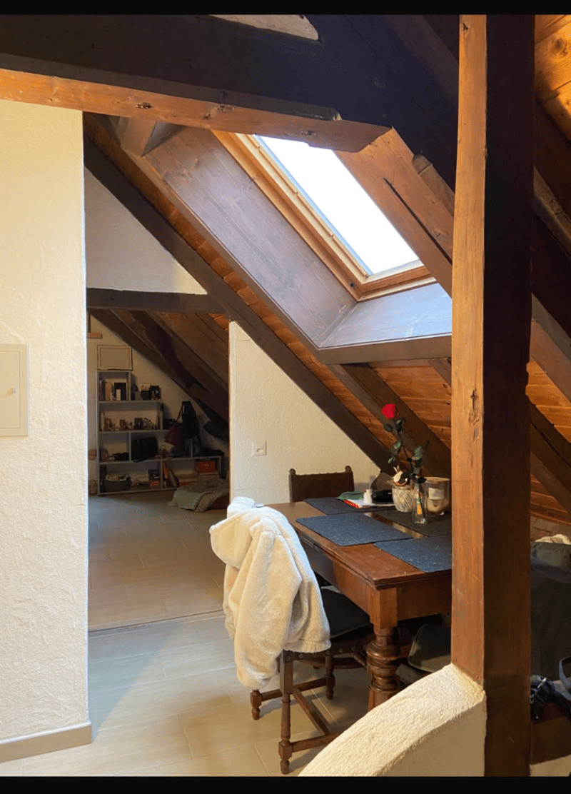 Ruhige Wohnung im Grünen (5)
