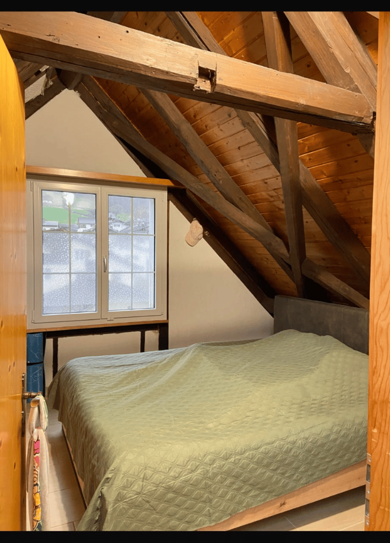 Ruhige Wohnung im Grünen (3)