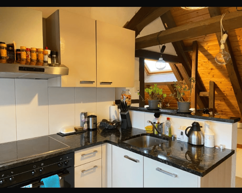 Ruhige Wohnung im Grünen (8)