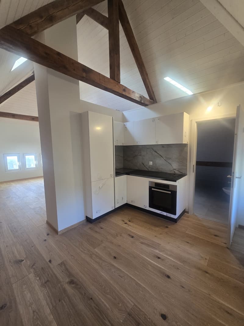 Loft/studio rénové avec beaucoup de cachet (4)
