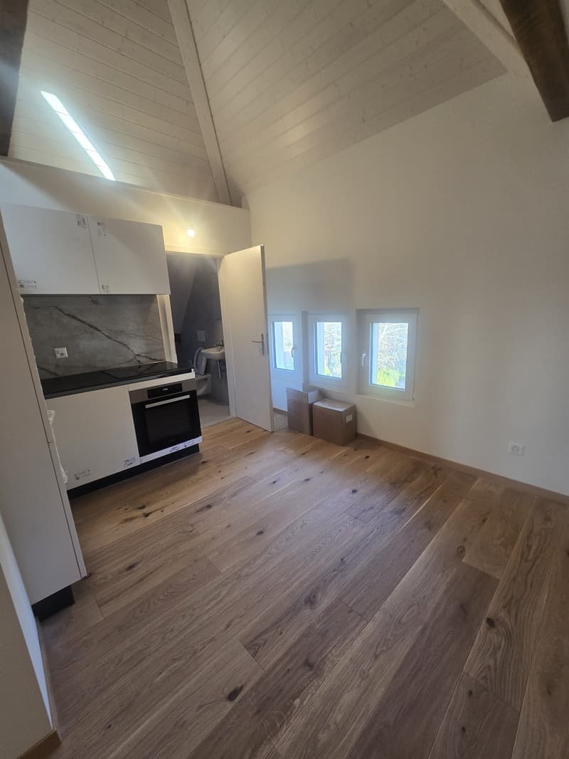 Loft/studio rénové avec beaucoup de cachet (5)