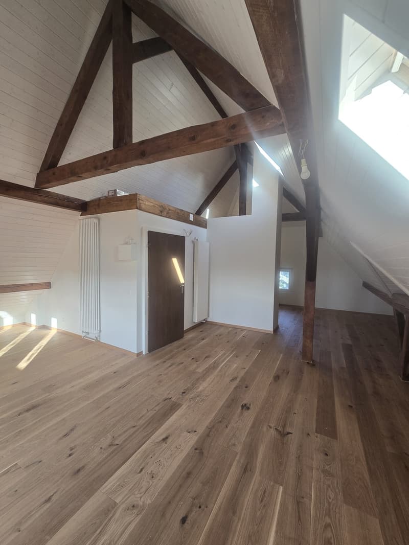 Loft/studio rénové avec beaucoup de cachet (1)