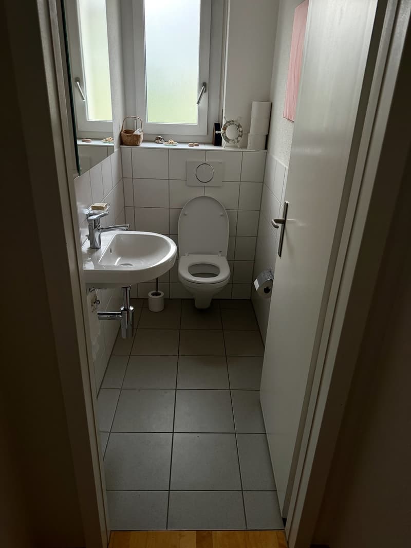 Untermieter gesucht für 4.5 Zi Wohnung (6)