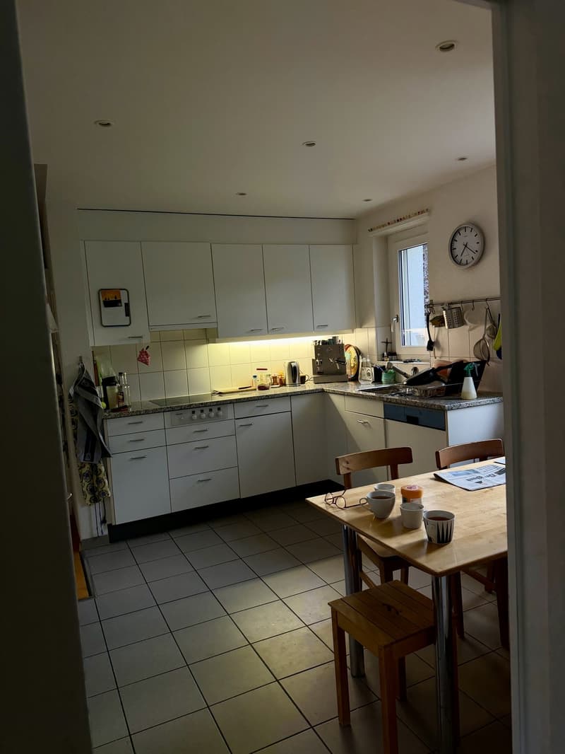 Untermieter gesucht für 4.5 Zi Wohnung (3)