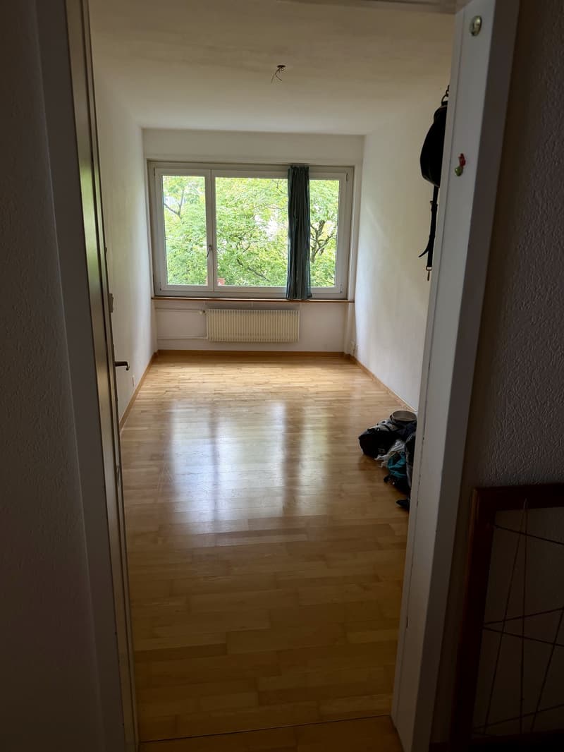 Untermieter gesucht für 4.5 Zi Wohnung (4)