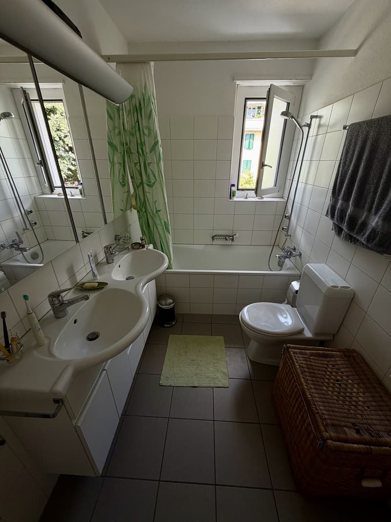 Untermieter gesucht für 4.5 Zi Wohnung (5)