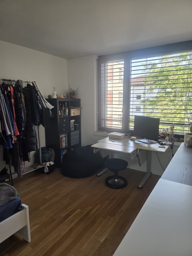 Subletting a room in a 4.5 Shared Flat (6)