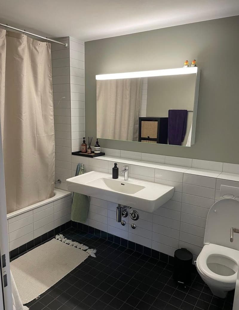 Subletting a room in a 4.5 Shared Flat (2)