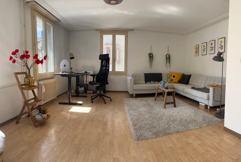 2 Zimmer in dreier WG im Herzen von Küssnacht am Rigi ab Dezember frei (7)