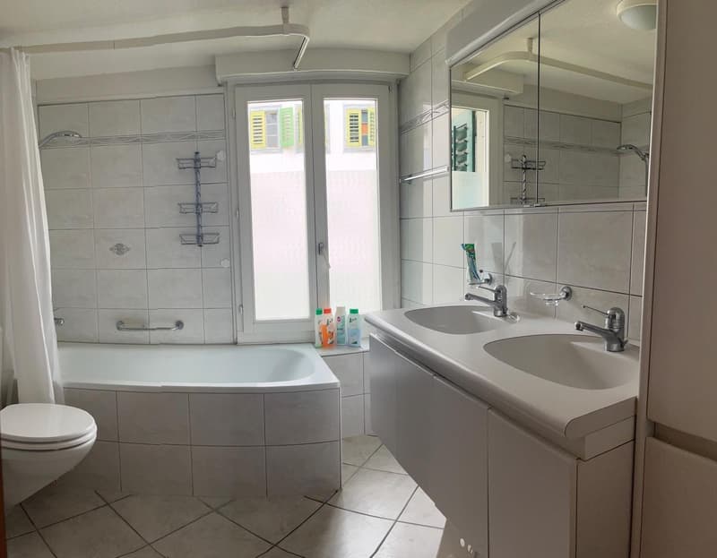 2 Zimmer in dreier WG im Herzen von Küssnacht am Rigi ab Dezember frei (6)