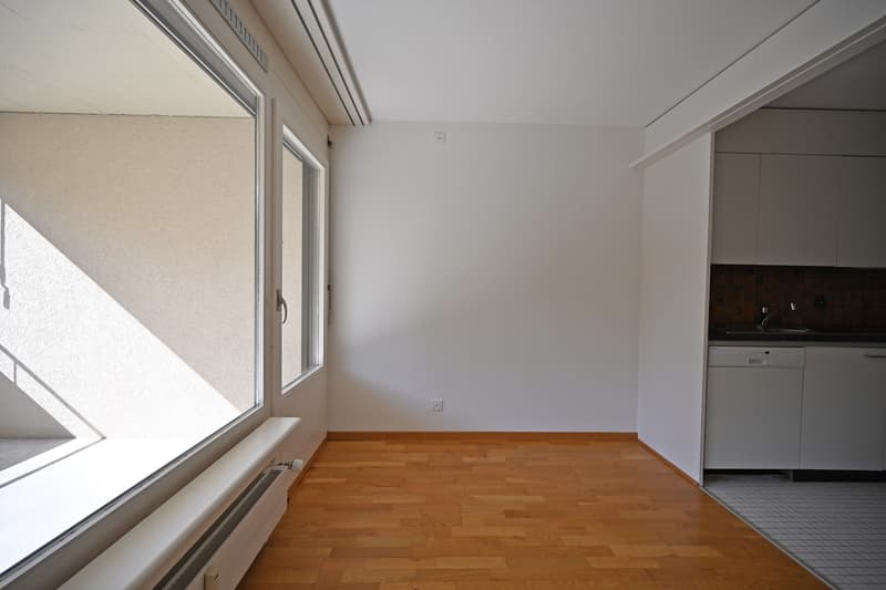 Lichtdurchflutete Wohnung im schönen Museumsquartier (5)