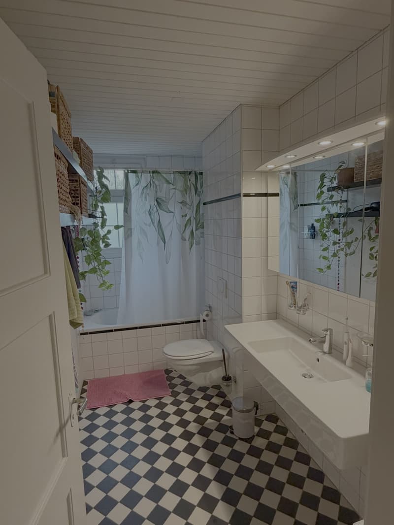 WG-Zimmer zur Untermiete im Sandrainquartier (4)