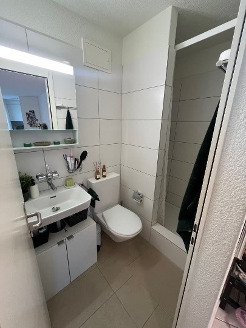 1 room apartment, 8004 Zürich (6)