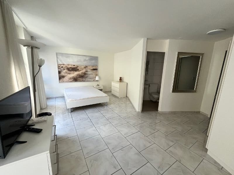 1 room apartment, 8004 Zürich (5)