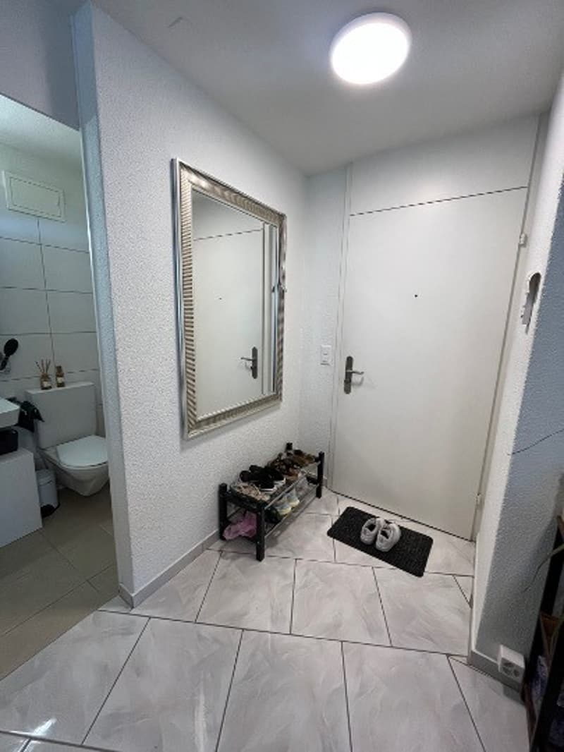 1 room apartment, 8004 Zürich (7)