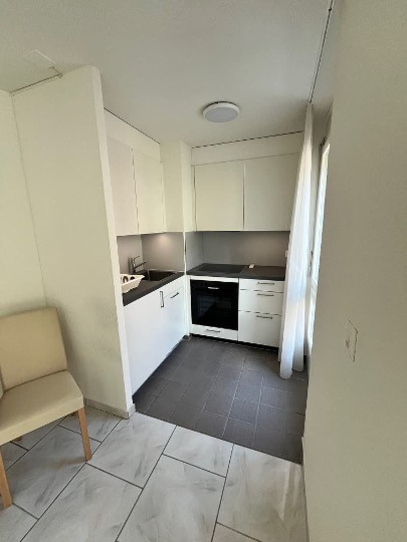 1 room apartment, 8004 Zürich (3)