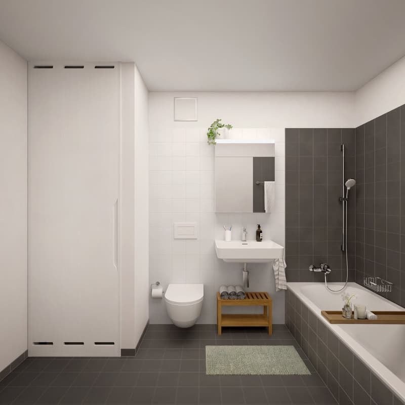 3.5 Zimmer-Wohnung in Zug mieten (6)