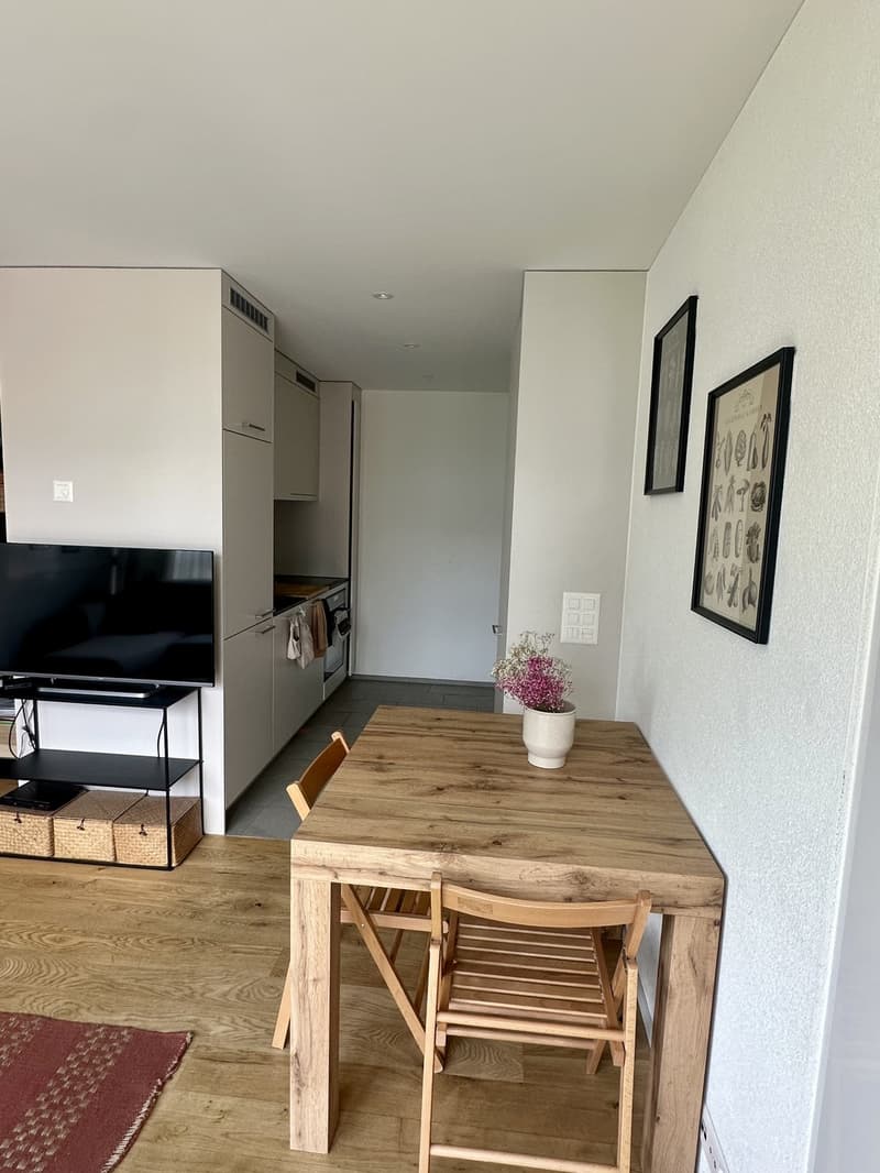 Möblierte 2.5-Zimmer-Wohnung in ruhiger Lage in Zürich Oerlikon zur Untermiete (13)