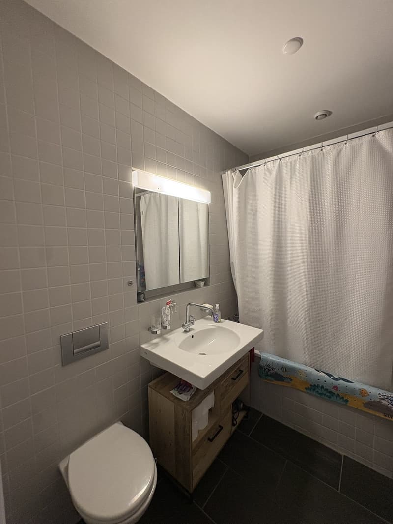 Helle 3.5-Zimmer-Wohnung mit grosszügigem 30-m²-Balkon (5)